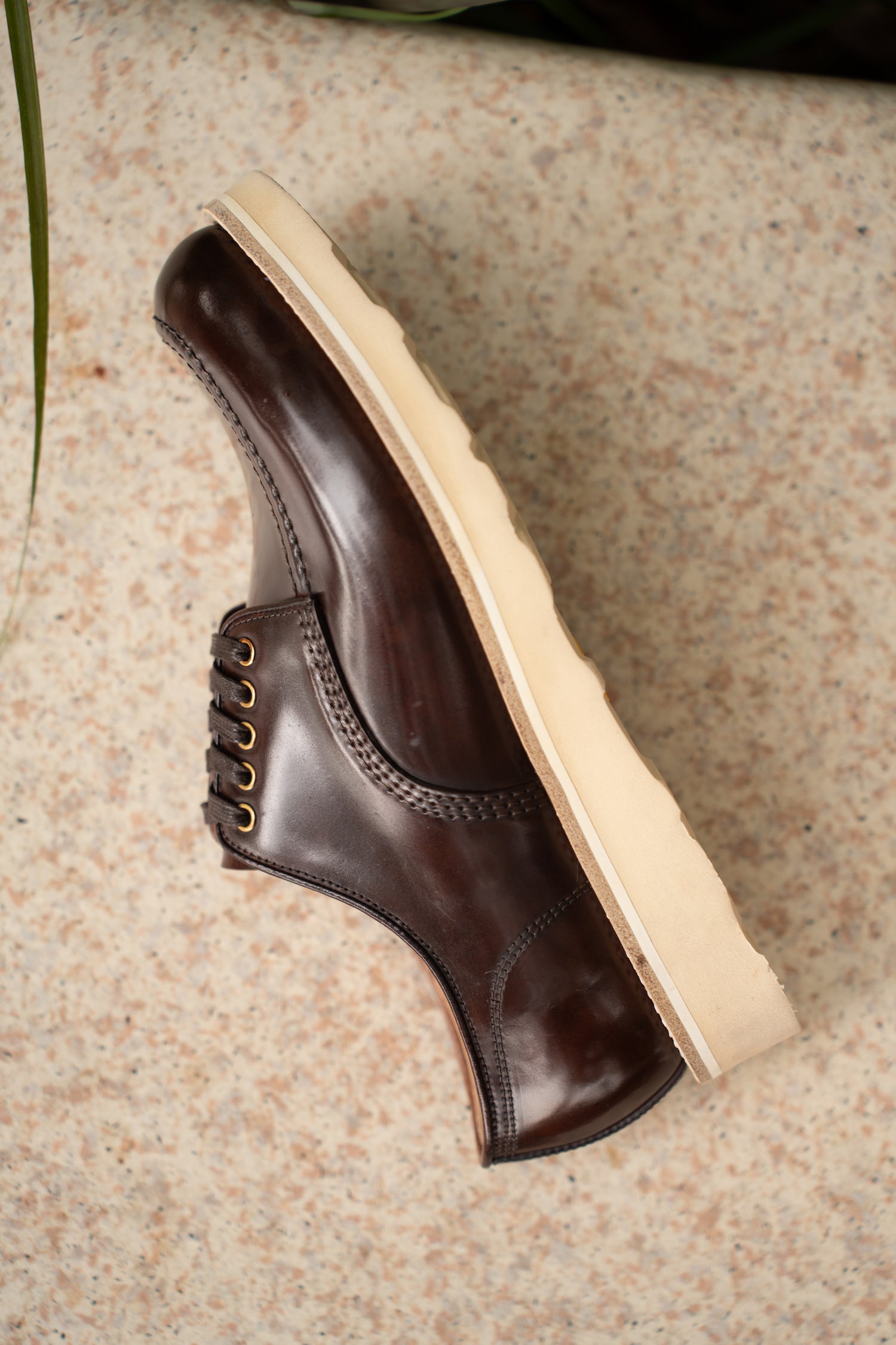 MOCCASIN
