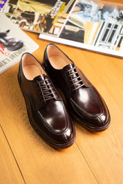 BLUCHER.NST